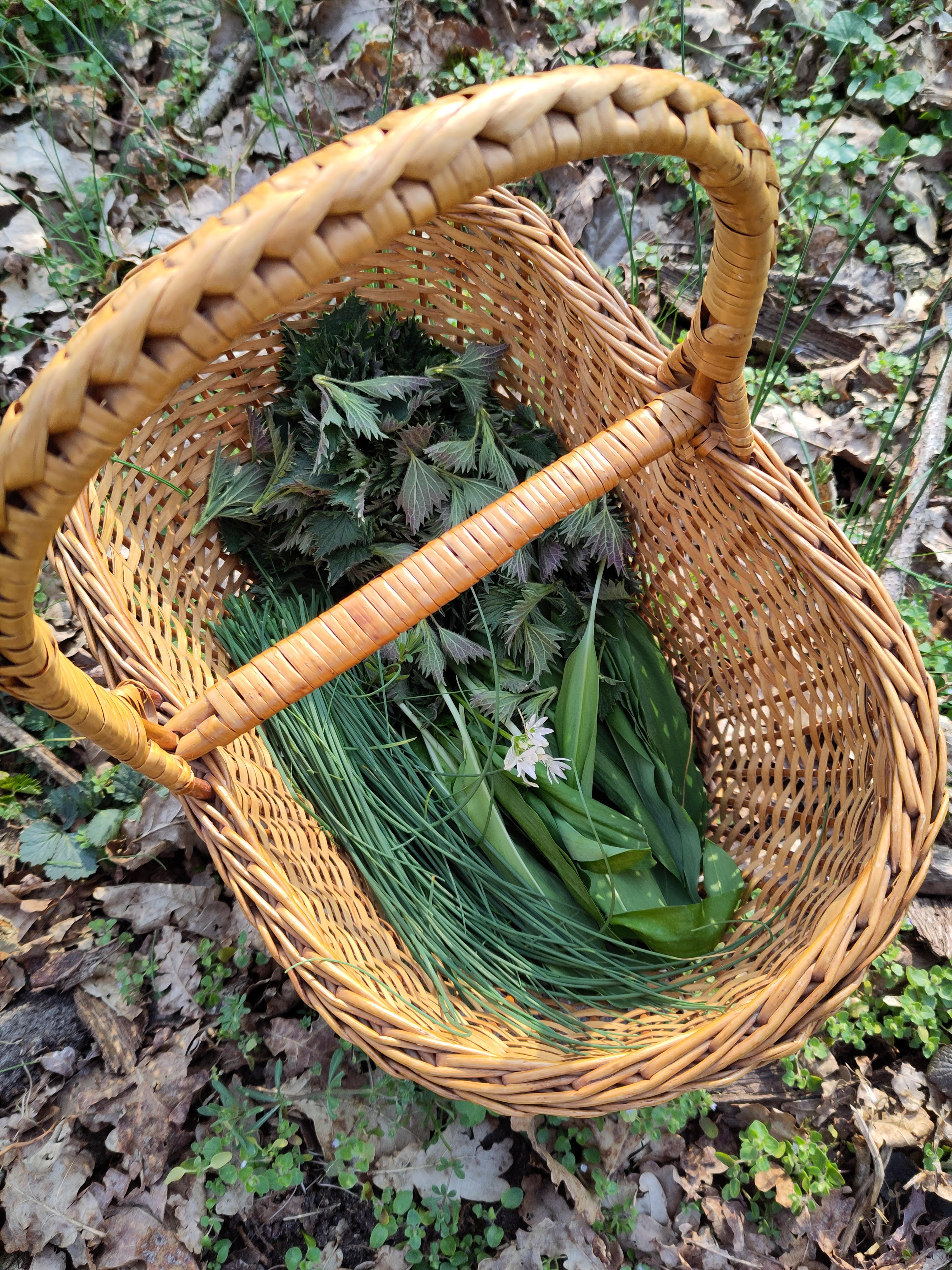 Wildplukwandeling met lunch