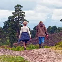 Wandelen vanuit het Holleblok